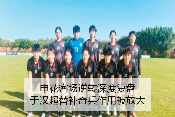 申花客场逆转深度复盘 于汉超替补奇兵作用被放大